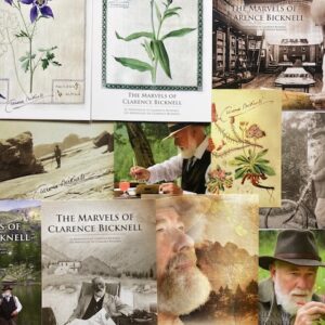 Postcards, set of 10